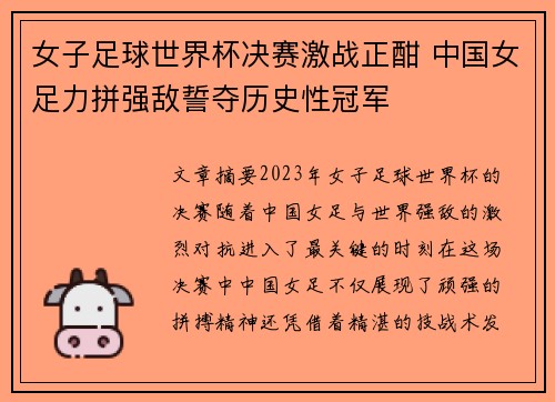 女子足球世界杯决赛激战正酣 中国女足力拼强敌誓夺历史性冠军